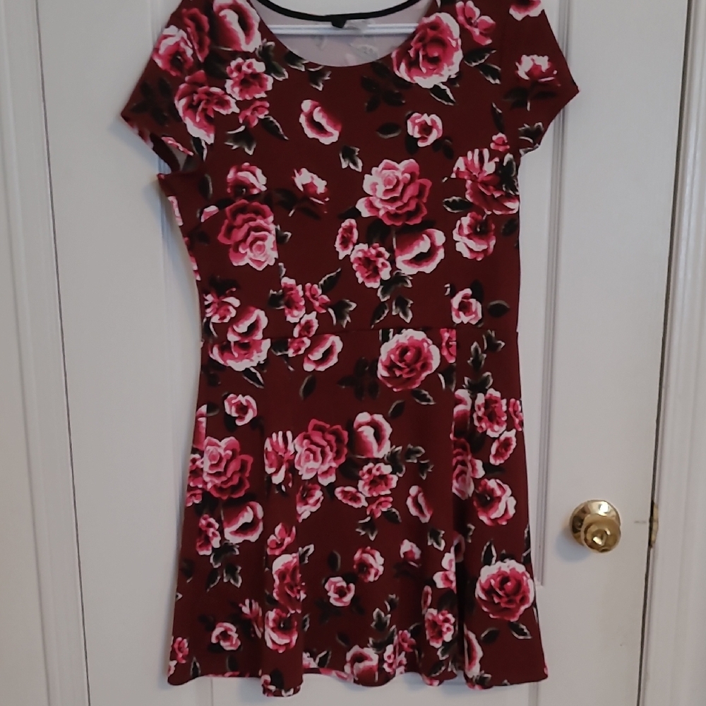 H&M Divided Pink and Red Floral Mini Sundress with Short Sleeves